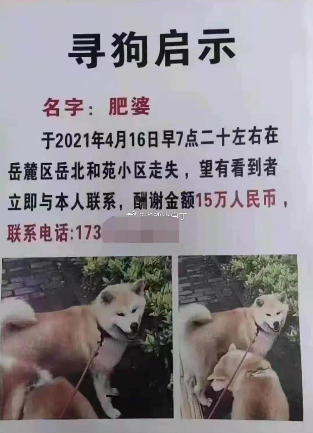 DƬ
